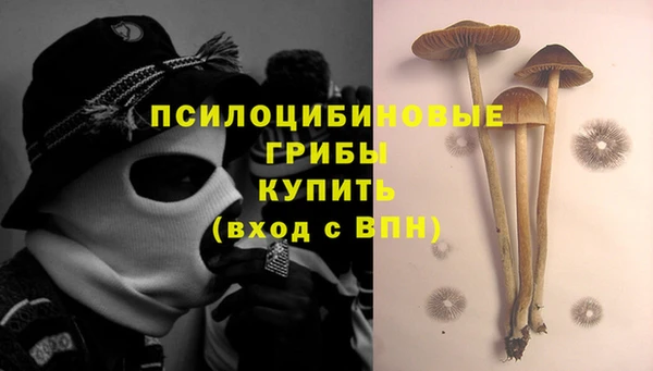 2c-b Абинск