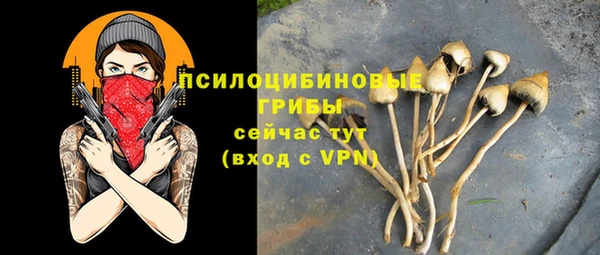 PSILOCYBIN Абдулино