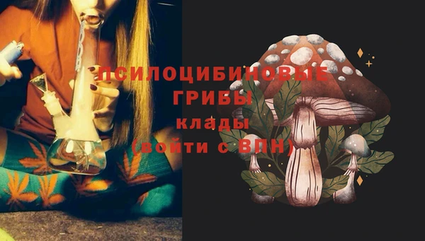 2c-b Абинск