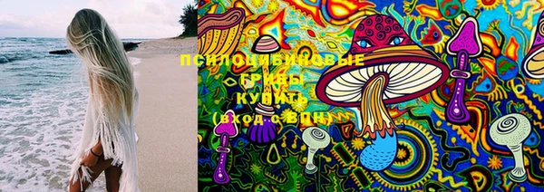 PSILOCYBIN Абдулино
