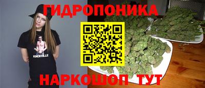 ПСИЛОЦИБИНОВЫЕ ГРИБЫ Янаул