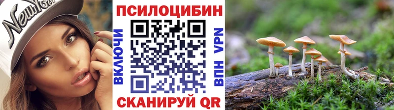даркнет клад  что такое наркотик  Лиски  Псилоцибиновые грибы прущие грибы 